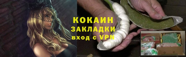 мдпв Горно-Алтайск