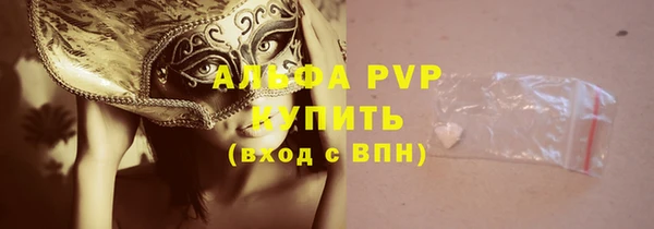прущий лед Горняк