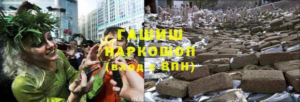 мдпв Горно-Алтайск