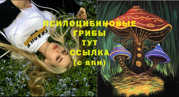 прущий лед Горняк