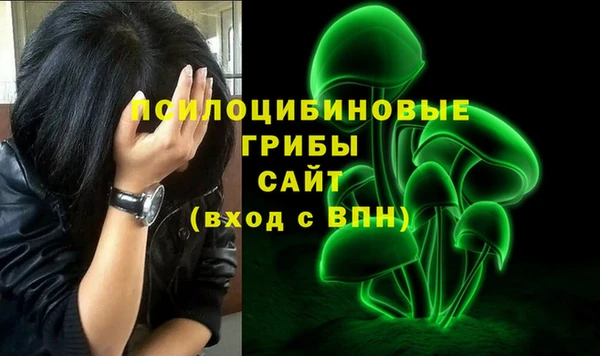 мдпв Горно-Алтайск