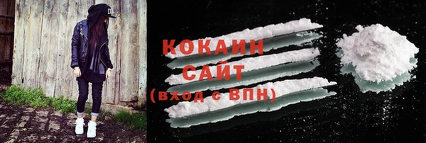 прущий лед Горняк